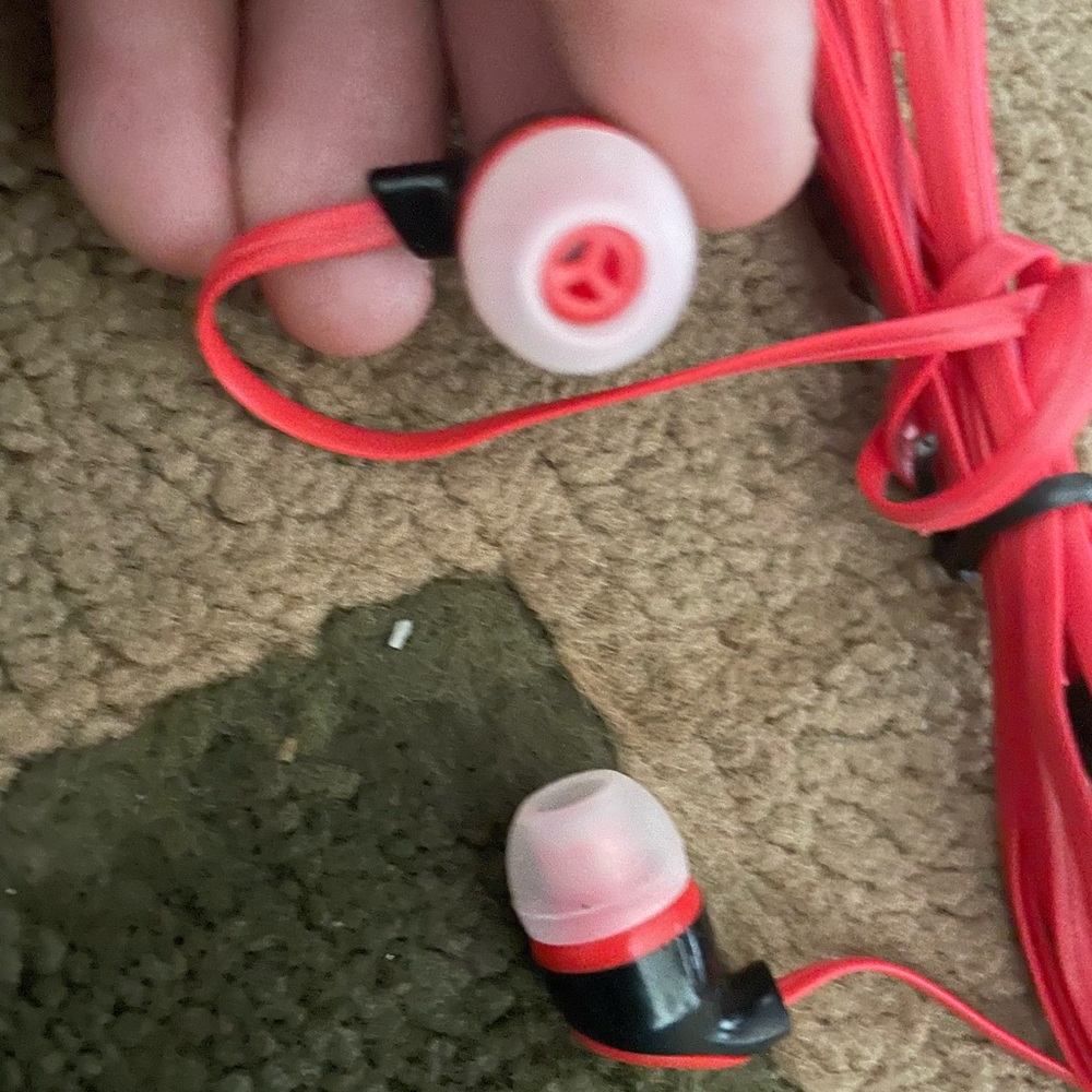 Earphones